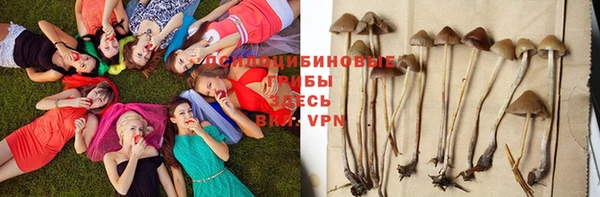 мет Струнино