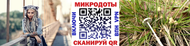 Галлюциногенные грибы ЛСД  Динская 